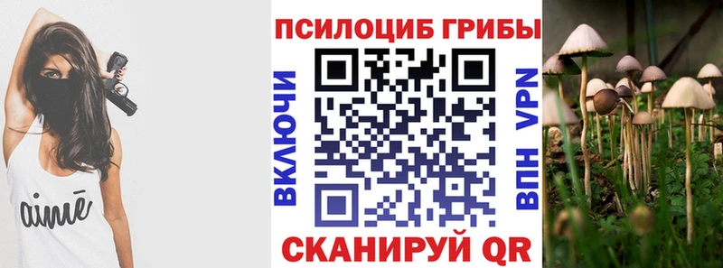 даркнет сайт  Ленинск  Галлюциногенные грибы Magic Shrooms 